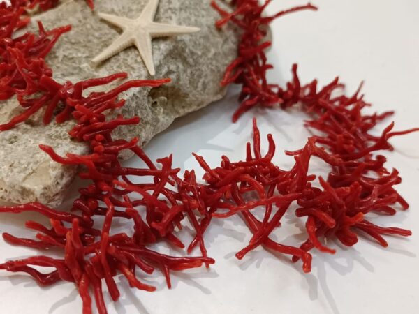 Jadranski crveni Koralj ogrlica