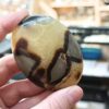 septarian - septarija